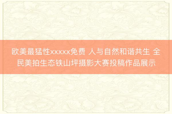 欧美最猛性xxxxx免费 人与自然和谐共生 全民美拍生态铁山坪摄影大赛投稿作品展示