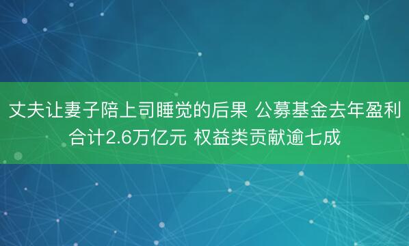 丈夫让妻子陪上司睡觉的后果 公募基金去年盈利合计2.6万亿元 权益类贡献逾七成