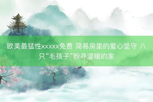 欧美最猛性xxxxx免费 简易房里的爱心坚守 八只“毛孩子”盼寻温暖的家