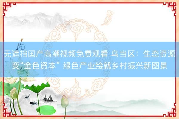 无遮挡国产高潮视频免费观看 乌当区：生态资源变“金色资本” 绿色产业绘就乡村振兴新图景