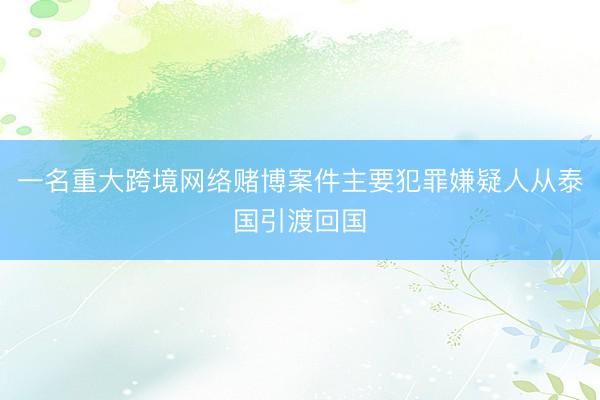 一名重大跨境网络赌博案件主要犯罪嫌疑人从泰国引渡回国