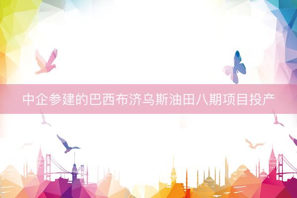中企参建的巴西布济乌斯油田八期项目投产