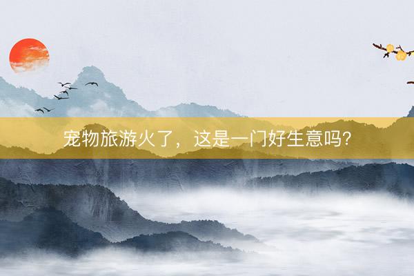宠物旅游火了，这是一门好生意吗？