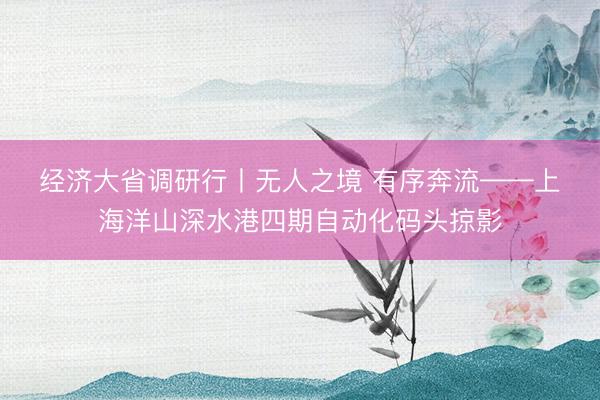 经济大省调研行丨无人之境 有序奔流——上海洋山深水港四期自动化码头掠影
