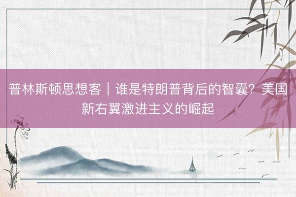 普林斯顿思想客｜谁是特朗普背后的智囊？美国新右翼激进主义的崛起