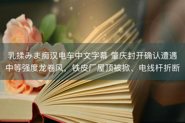 乳揉みま痴汉电车中文字幕 肇庆封开确认遭遇中等强度龙卷风，铁皮厂屋顶被掀、电线杆折断