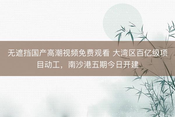 无遮挡国产高潮视频免费观看 大湾区百亿级项目动工，南沙港五期今日开建
