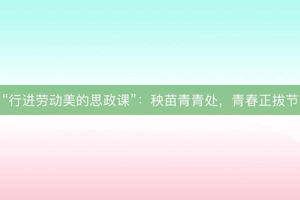 “行进劳动美的思政课”：秧苗青青处，青春正拔节