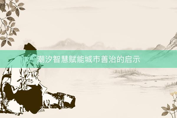 潮汐智慧赋能城市善治的启示