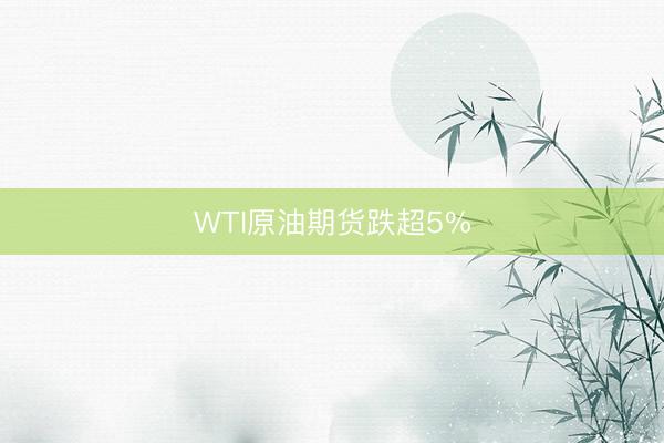 WTI原油期货跌超5%