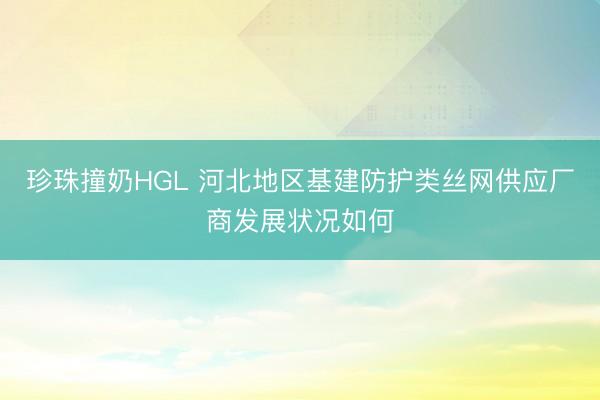 珍珠撞奶HGL 河北地区基建防护类丝网供应厂商发展状况如何