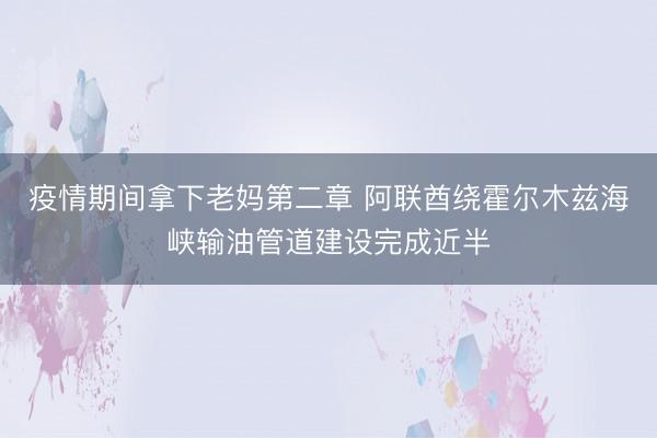 疫情期间拿下老妈第二章 阿联酋绕霍尔木兹海峡输油管道建设完成近半