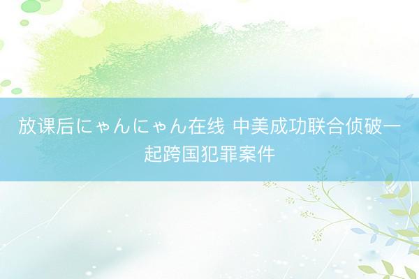 放课后にゃんにゃん在线 中美成功联合侦破一起跨国犯罪案件