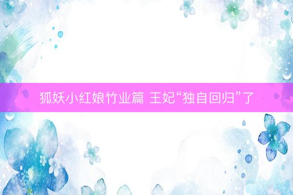 狐妖小红娘竹业篇 王妃“独自回归”了