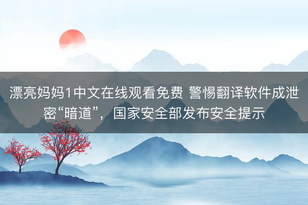 漂亮妈妈1中文在线观看免费 警惕翻译软件成泄密“暗道”，国家安全部发布安全提示