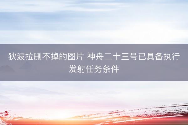 狄波拉删不掉的图片 神舟二十三号已具备执行发射任务条件