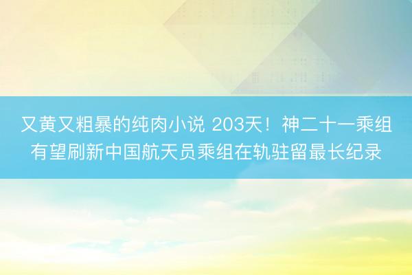 又黄又粗暴的纯肉小说 203天！神二十一乘组有望刷新中国航天员乘组在轨驻留最长纪录