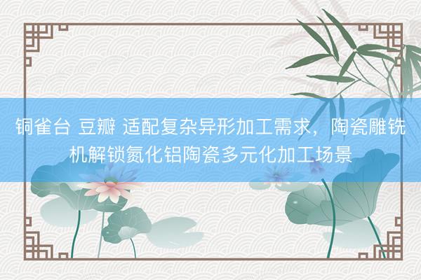铜雀台 豆瓣 适配复杂异形加工需求，陶瓷雕铣机解锁氮化铝陶瓷多元化加工场景