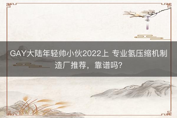 GAY大陆年轻帅小伙2022上 专业氢压缩机制造厂推荐，靠谱吗？