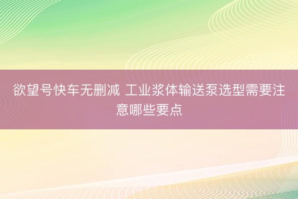 欲望号快车无删减 工业浆体输送泵选型需要注意哪些要点