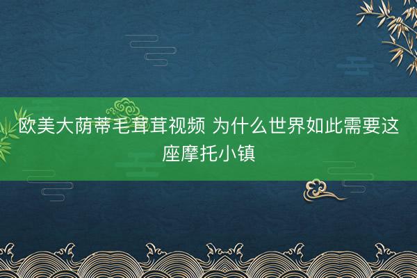 欧美大荫蒂毛茸茸视频 为什么世界如此需要这座摩托小镇