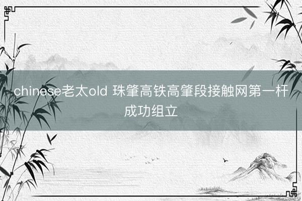 chinese老太old 珠肇高铁高肇段接触网第一杆成功组立