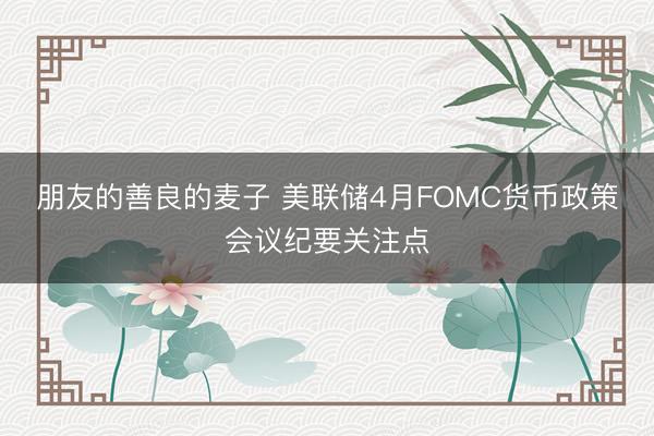 朋友的善良的麦子 美联储4月FOMC货币政策会议纪要关注点