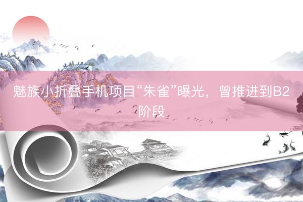 魅族小折叠手机项目“朱雀”曝光，曾推进到B2阶段