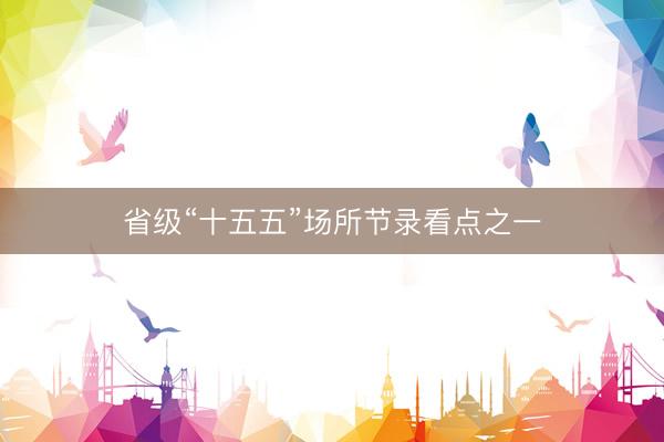 省级“十五五”场所节录看点之一