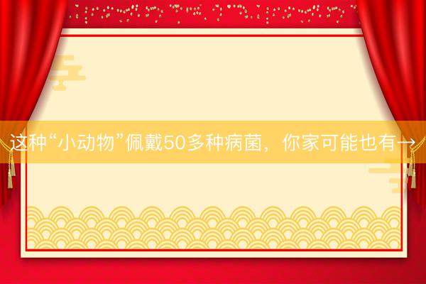 这种“小动物”佩戴50多种病菌，你家可能也有→