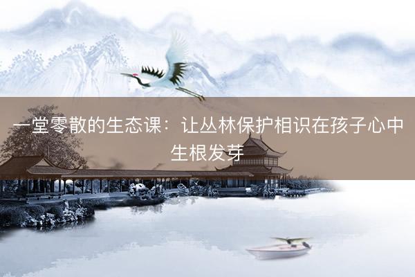 一堂零散的生态课：让丛林保护相识在孩子心中生根发芽