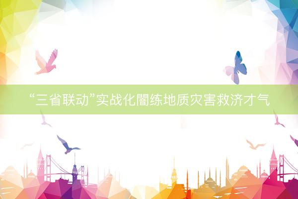 “三省联动”实战化闇练地质灾害救济才气