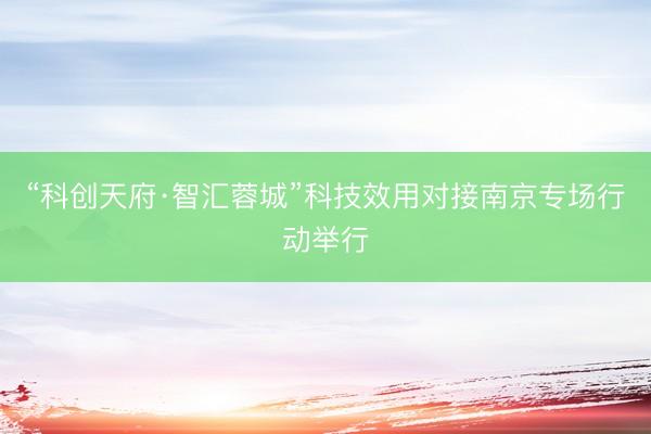 “科创天府·智汇蓉城”科技效用对接南京专场行动举行