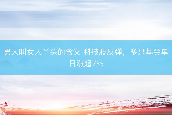 男人叫女人丫头的含义 科技股反弹，多只基金单日涨超7%