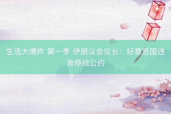 生活大爆炸 第一季 伊朗议会议长：好意思国违背停战公约