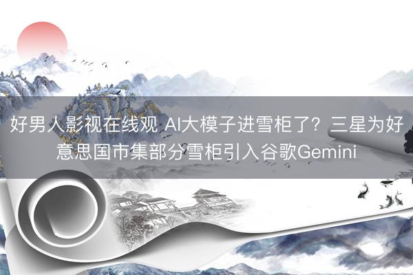 好男人影视在线观 AI大模子进雪柜了？三星为好意思国市集部分雪柜引入谷歌Gemini