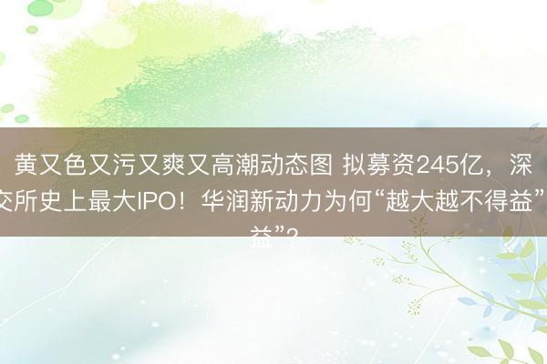 黄又色又污又爽又高潮动态图 拟募资245亿，深交所史上最大IPO！华润新动力为何“越大越不得益”？