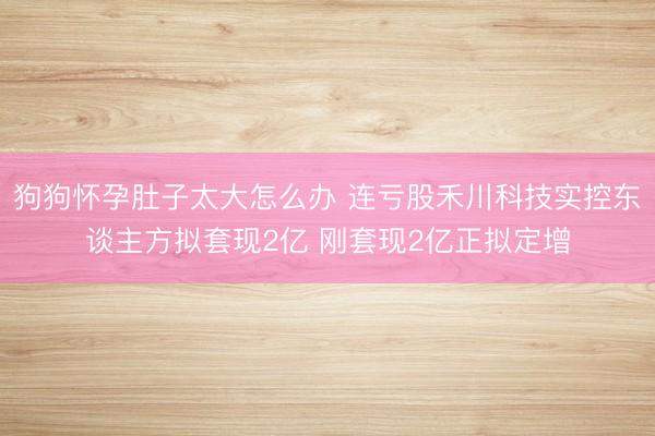 狗狗怀孕肚子太大怎么办 连亏股禾川科技实控东谈主方拟套现2亿 刚套现2亿正拟定增