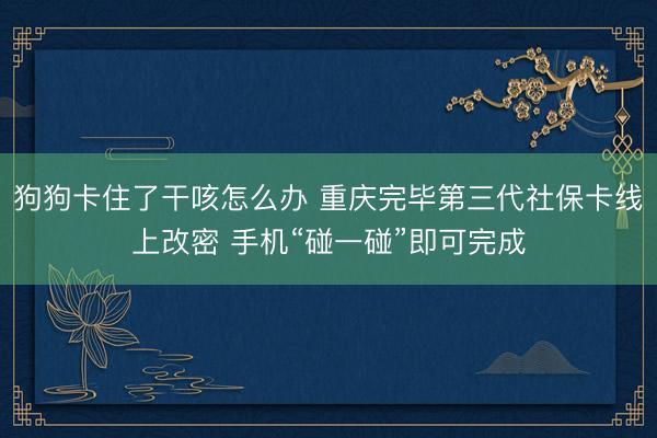 狗狗卡住了干咳怎么办 重庆完毕第三代社保卡线上改密 手机“碰一碰”即可完成
