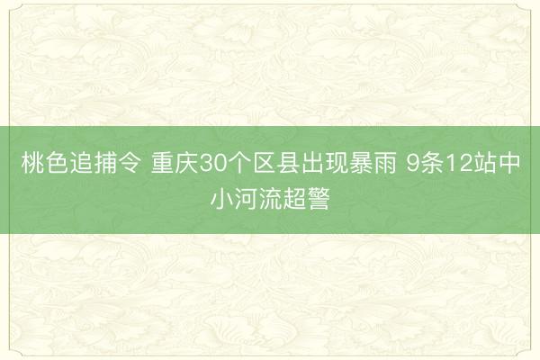 桃色追捕令 重庆30个区县出现暴雨 9条12站中小河流超警