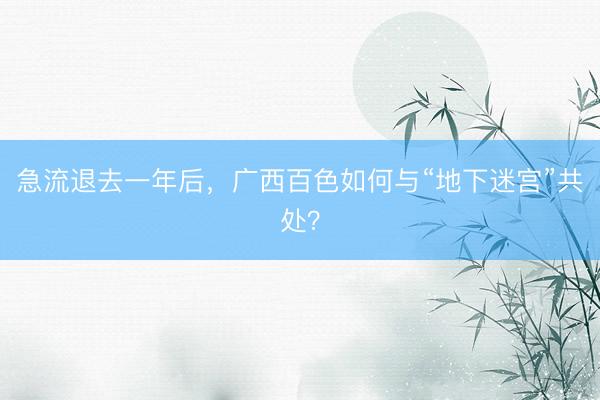 急流退去一年后,广西百色如何与“地下迷宫”共处?