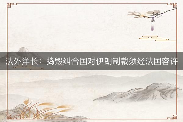 法外洋长：捣毁纠合国对伊朗制裁须经法国容许