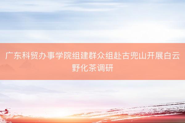 广东科贸办事学院组建群众组赴古兜山开展白云野化茶调研