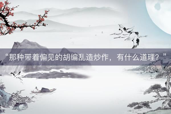 “那种带着偏见的胡编乱造炒作，有什么道理？”